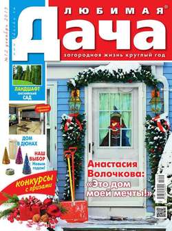 Любимая Дача 12-2015