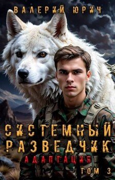 Системный разведчик. Адаптация Том 3