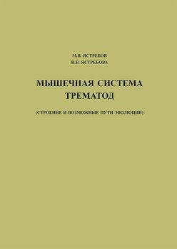 Мышечная система трематод 