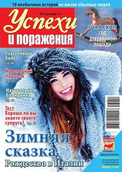 Успехи и поражения 12-2013