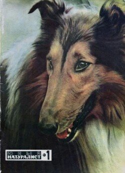 Юный натуралист 1970 №01