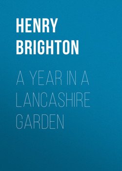 A Year in a Lancashire Garden