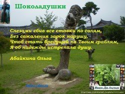 ШокоЛадушки 