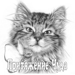 Притяжение чуда 