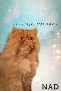 Ты заходи, если что...