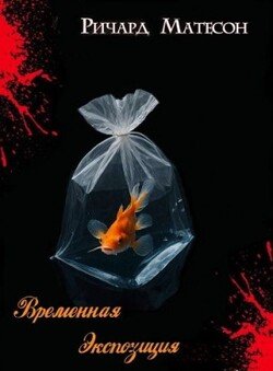 Временная экспозиция