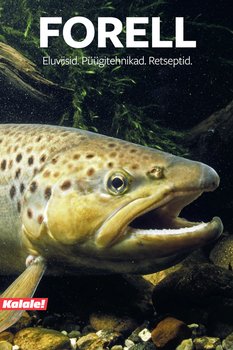 Forell. Eluviisid. Püügitehnikad. Retseptid