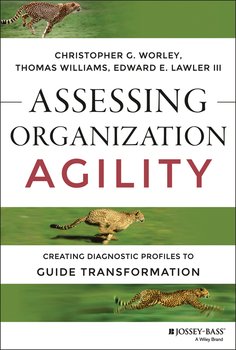 Assessing Organization Agility. Creating Diagnostic Profiles to Guide Transformation