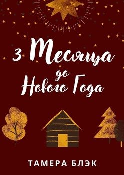 3месяца доНовогогода