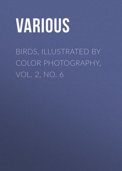 Birds, Illustrated by Color Photography, Vol. 2, No. 6