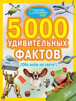 5000 удивительных фактов