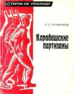 Карабашские партизаны