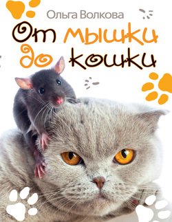 От мышки до кошки