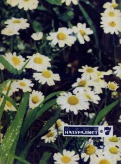 Юный натуралист 1970 №07