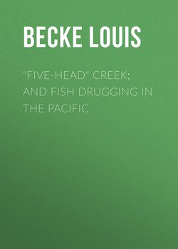 Five-Head Creek; and Fish Drugging In The Pacific