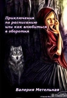 Приключения по расписанию, или как влюбиться в оборотня 