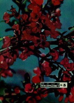 Юный натуралист 1972 №05