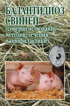 Балантидиоз свиней 
