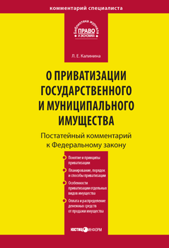 Комментарий к Федеральному закону «О приватизации государственного и муниципального имущества»