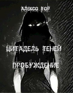 Цитадель Теней. Пробуждение 