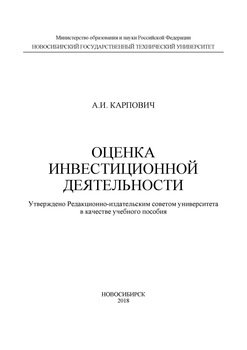 Оценка инвестиционной деятельности