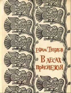 В лесах Прионежья