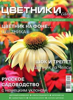 Цветники в Саду 09-2016