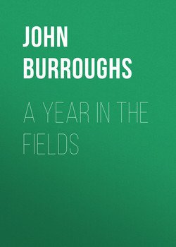 A Year in the Fields