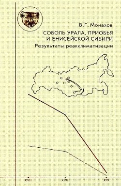 Соболь Урала, Приобья и Енисейской Сибири : результаты реакклиматизации