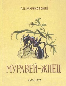 Муравей-жнец