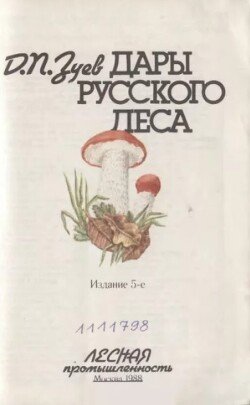 Дары русского леса