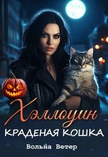 Хэллоуин. Краденая кошка