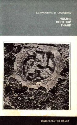 Жизнь костной ткани 