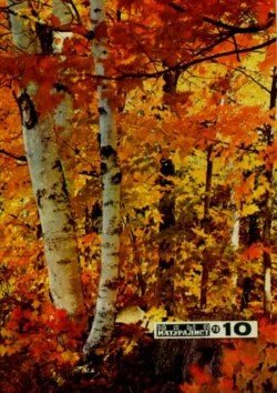 Юный натуралист 1973 №10