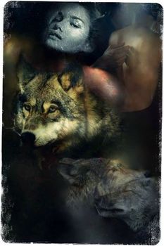Волчица