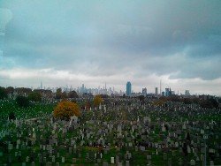 17 дней в осенних Штатах 