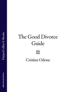 The Good Divorce Guide