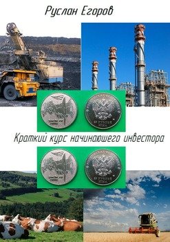Краткий курс начинающего инвестора