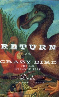 Возвращение ненормальной птицы. Печальная и странная история додо