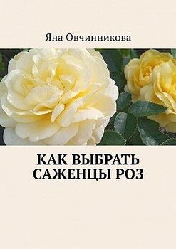 Как выбрать саженцы роз