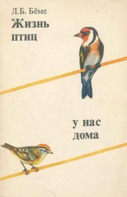 Жизнь птиц у нас дома 