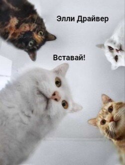 Вставай!