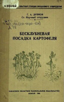 Бесклубневая посадка картофеля