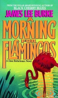 A Morning for Flamingos