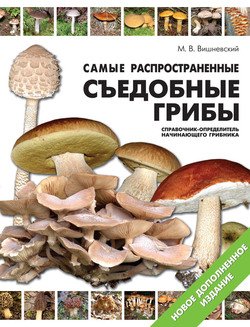 Самые распространенные съедобные грибы. Справочник-определитель начинающего грибника