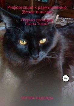 Информация к размышлению . Сборник рассказов. Поэма «Крым»