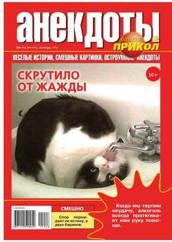 Большой прикол. Анекдоты 48-2015