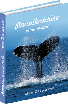 Paanikahäire minu moodi