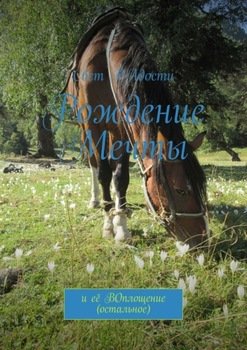 Рождение мечты. И её воплощение 