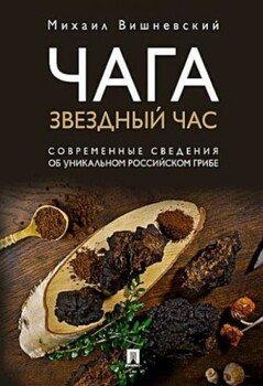 Чага: звездный час